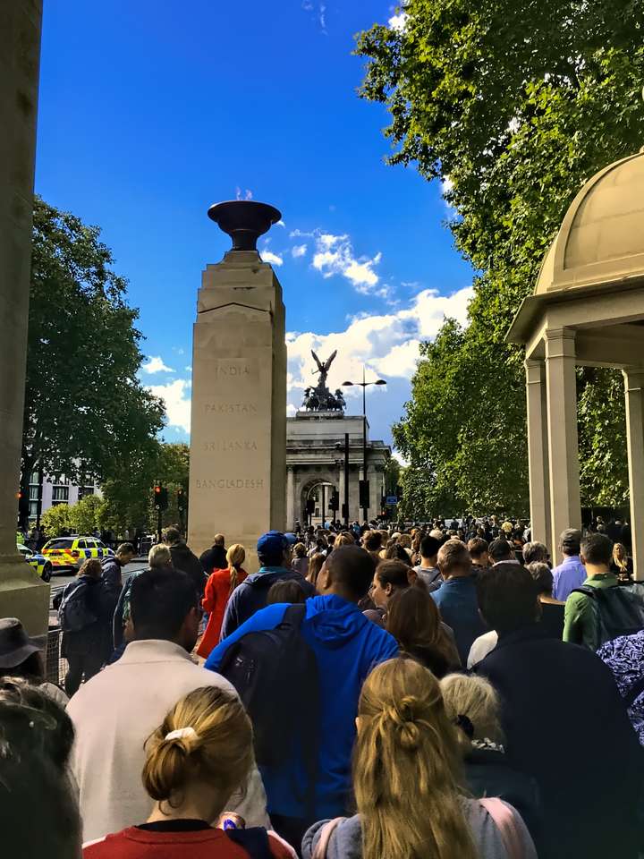 Being Herded Around London