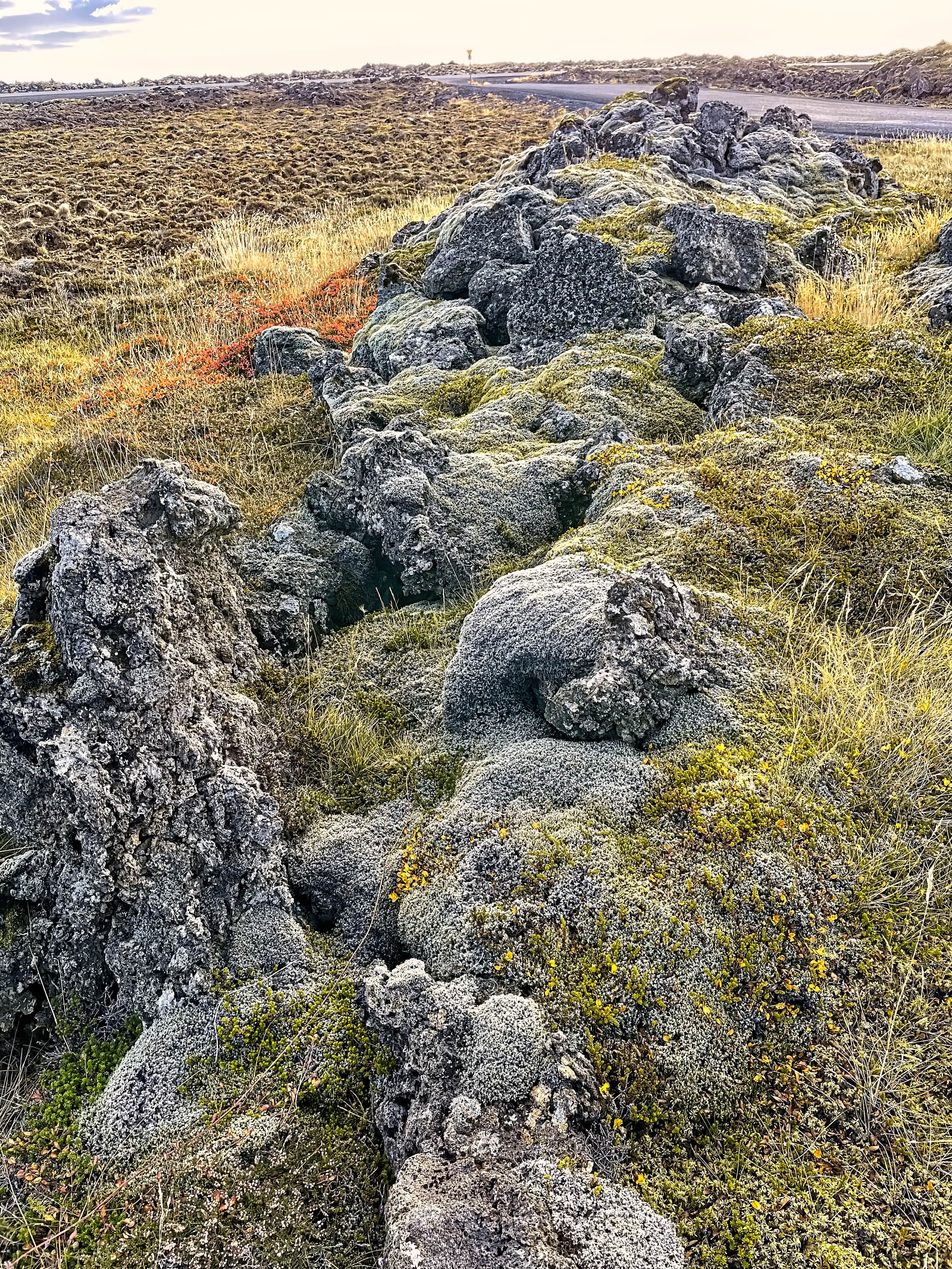 The Sulfur and Moss Covered Rocks