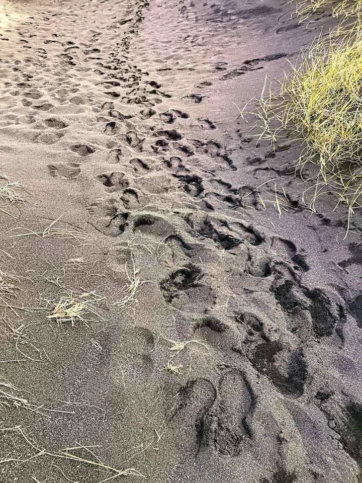 Black Beach Sand