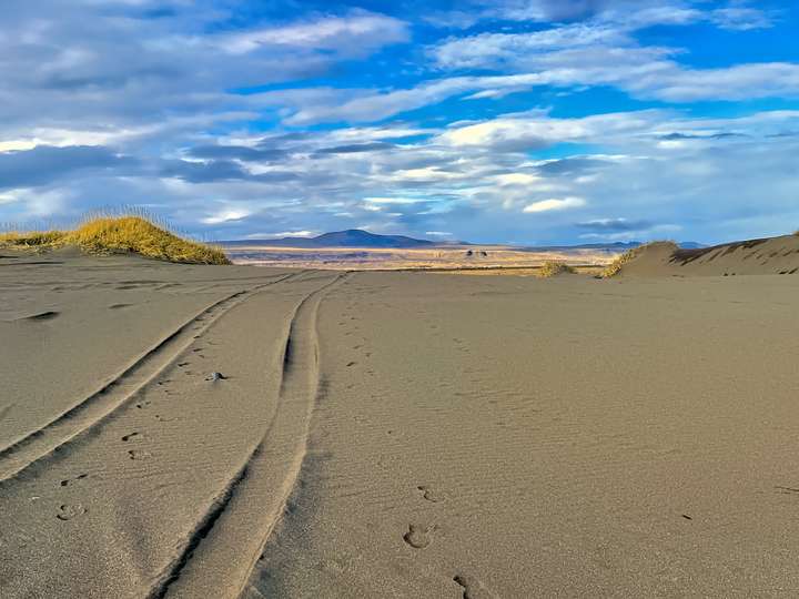 No Dunes Were Harmed in This Photo