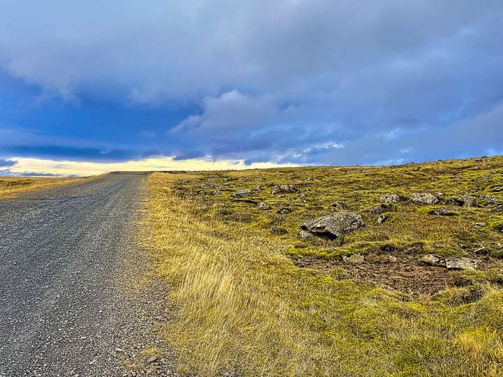 Prairie Grasslands of Iceland