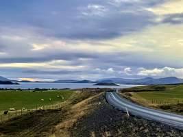 Approaching the Waterfront and Sheep