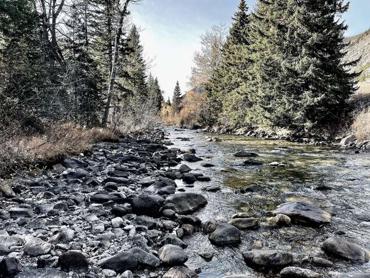 Beartooth River Dark