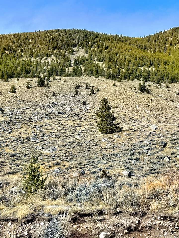 Montana terrain