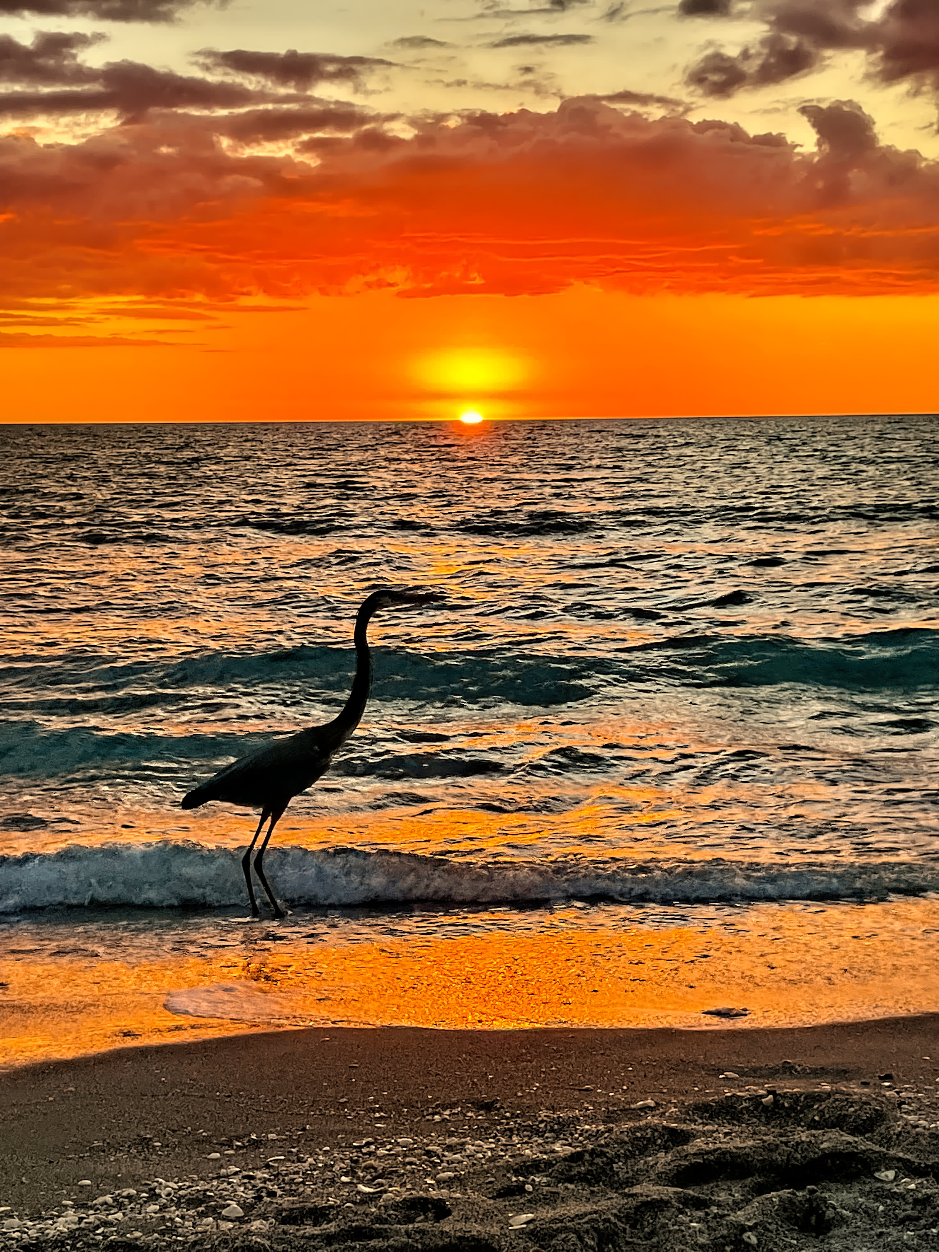 Sunset in Englewood Beach, FL