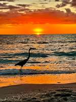 Sunset in Englewood Beach, FL