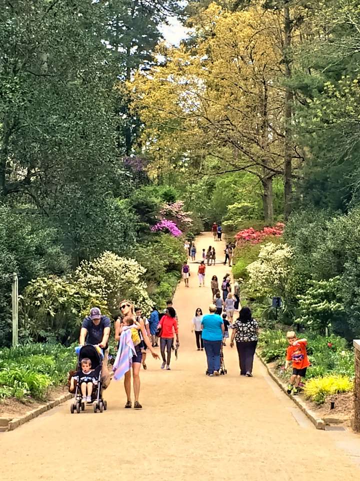 Soaking up Some Nature at Duke Gardens