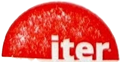 The ITER Organization Stamp