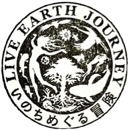 LIVE EARTH JOURNEY Stamp